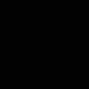 Meet your Posher, Gracie